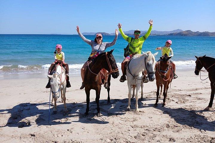 Conchal Beach Horseback Riding - 1hr 30min Guided Tour