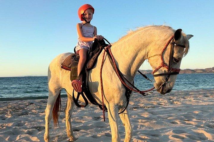 Conchal Beach Horseback Riding - 1hr 30min Guided Tour
