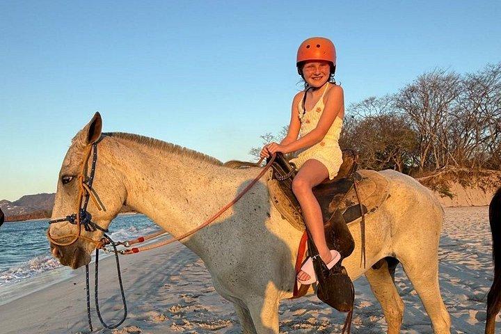 Conchal Beach Horseback Riding - 1hr 30min Guided Tour