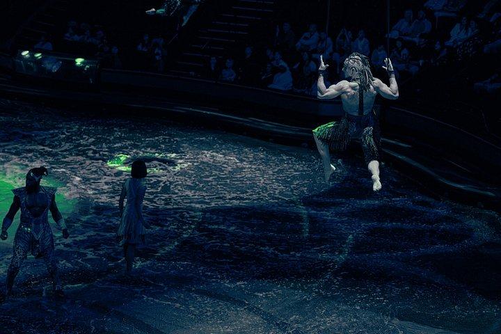 Biljetter till La Perle by Dragone Show Dubai