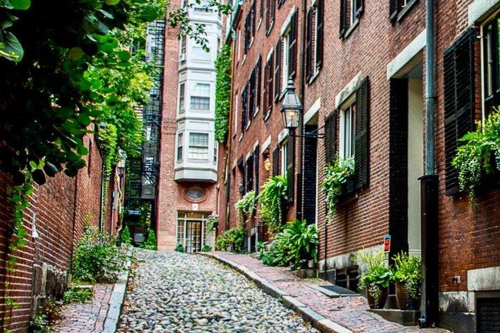 Excursión privada de 4 horas a Boston y Cambridge