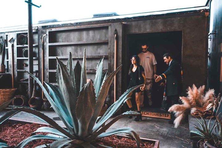 Immersive Agave Experience at Tequila Town Miami