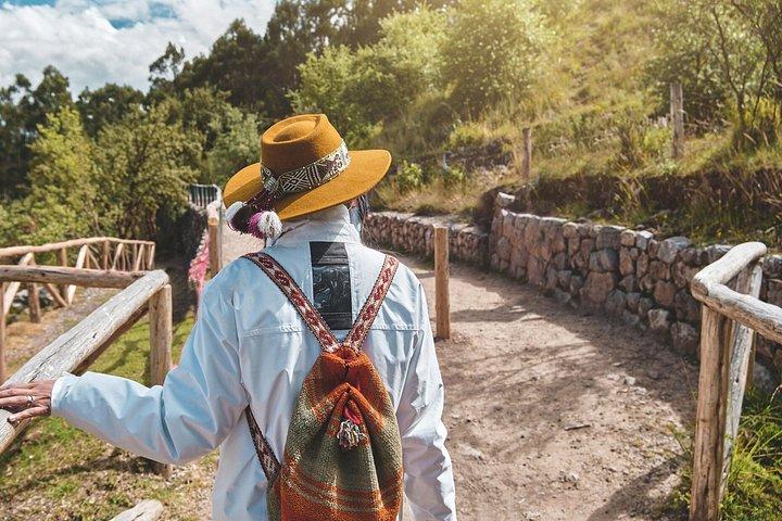 クスコ市内ツアーとインカ遺跡4箇所(サクサイワマン、コリカンチャなど)巡り