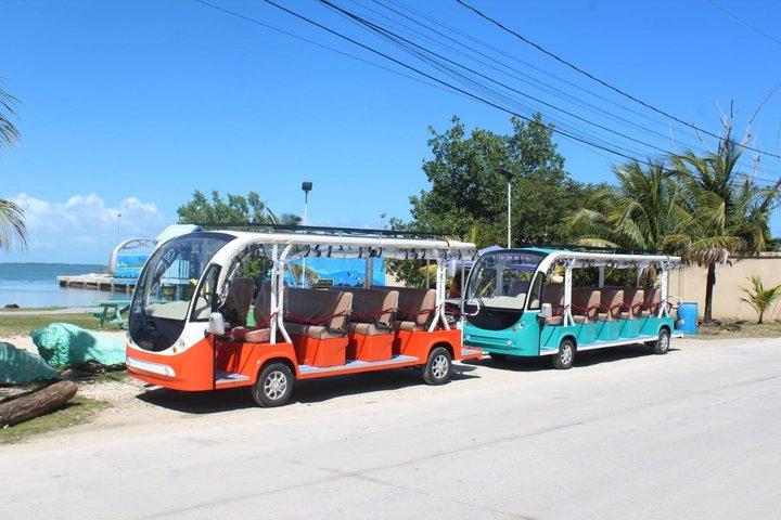 TukTuk Belize City sightseeingtur