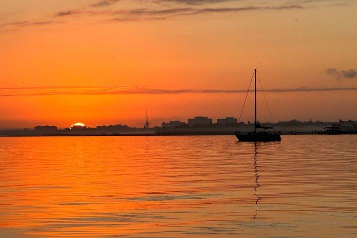 Excursão Eco de 3 horas: Sarasota Bay, Egmont Key e Fort DeSoto