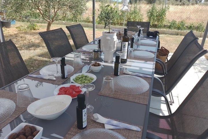 Séminaire sur l’huile d’olive avec dégustation à Metaggitsi – Chalcidique