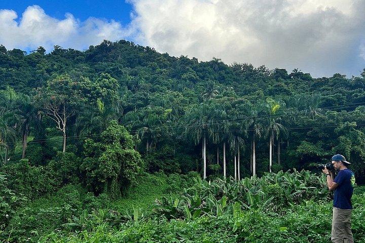 El Yunque Ziplining in Puerto Rico