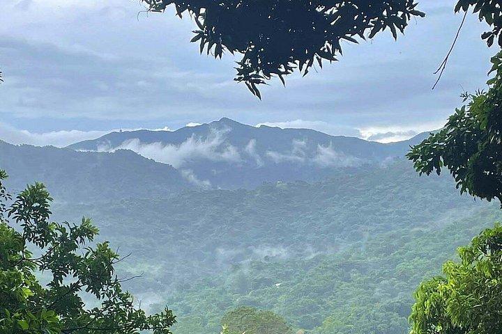 El Yunque Ziplining in Puerto Rico