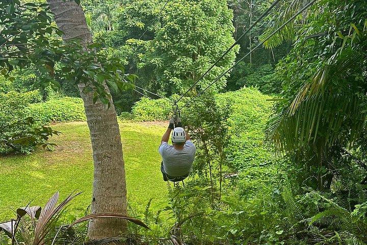 El Yunque Ziplining in Puerto Rico
