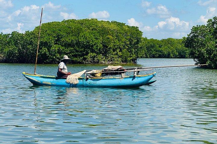ネゴンボからムトゥラジャウェラ湿地エコバードウォッチングボートツアー