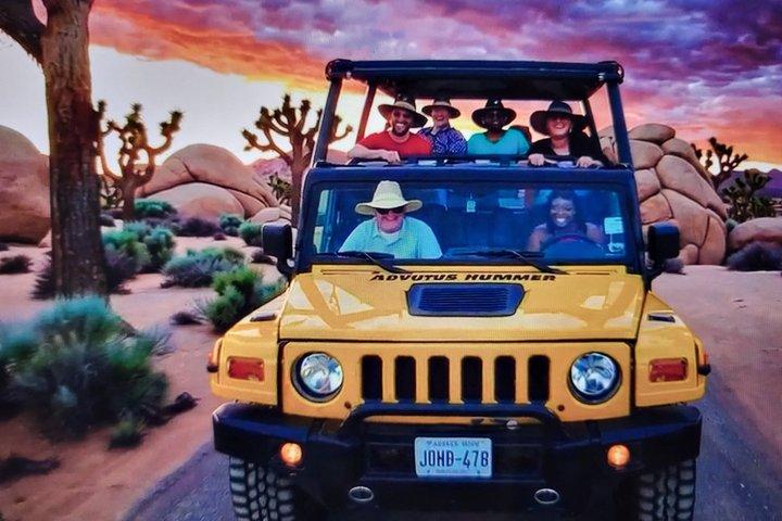 Joshua Tree friluftsäventyr