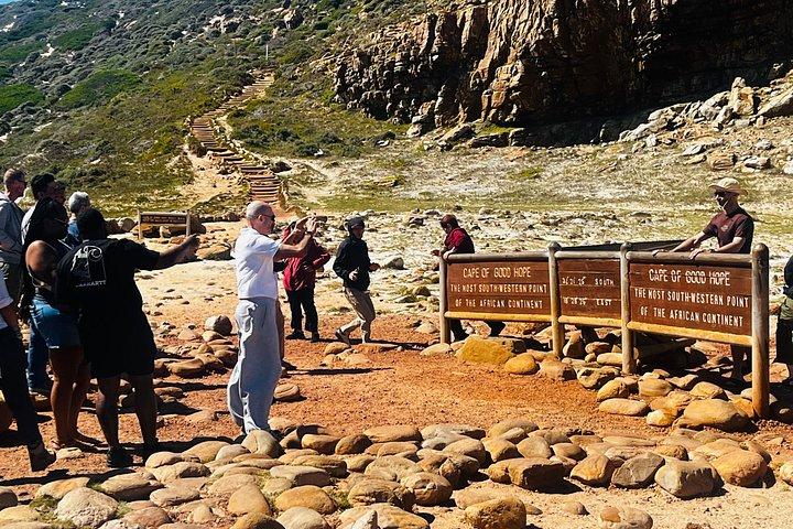 Table Mountain Cape Point Penguin Groot Constantia Private Tour