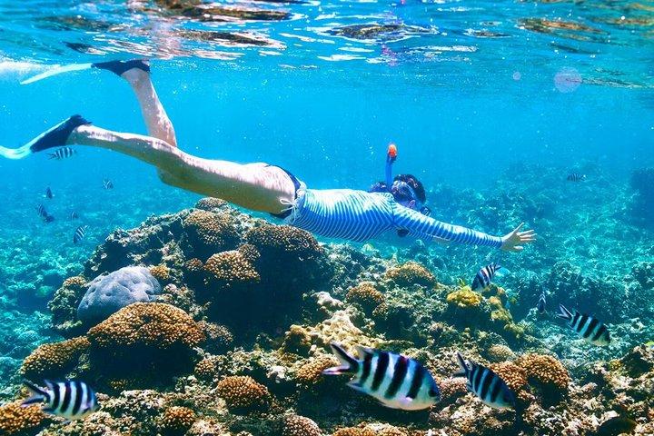 Orange Bay Island Snorkeling Cruise and Boat Trip from Hurghada