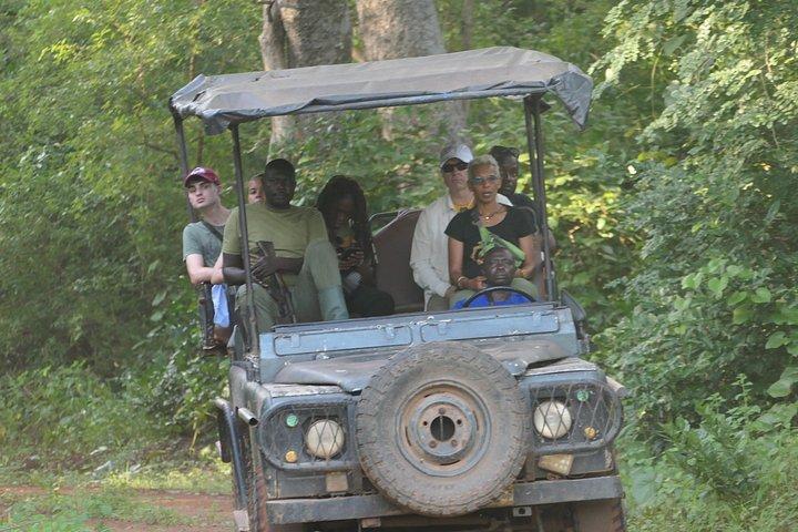 2 days (1 night) Elephants safari private experience