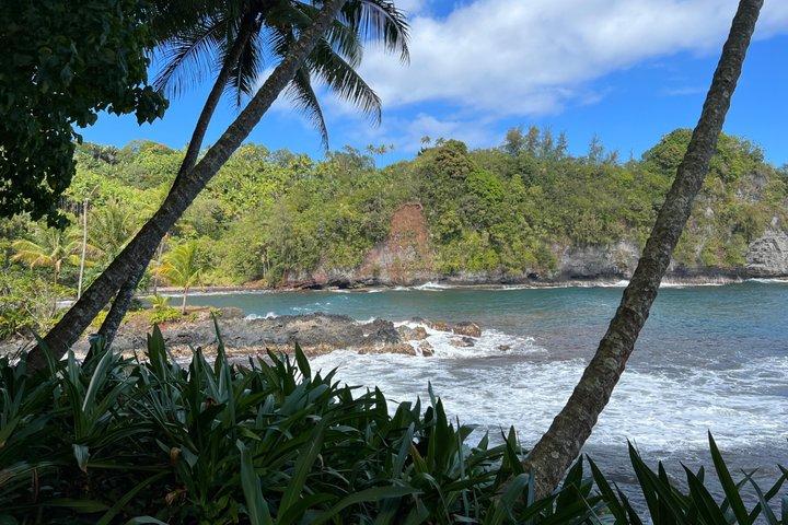 Excursion en bateau Hilo Shore : Chutes d'Akaka, Volcan et Plage de sable noir