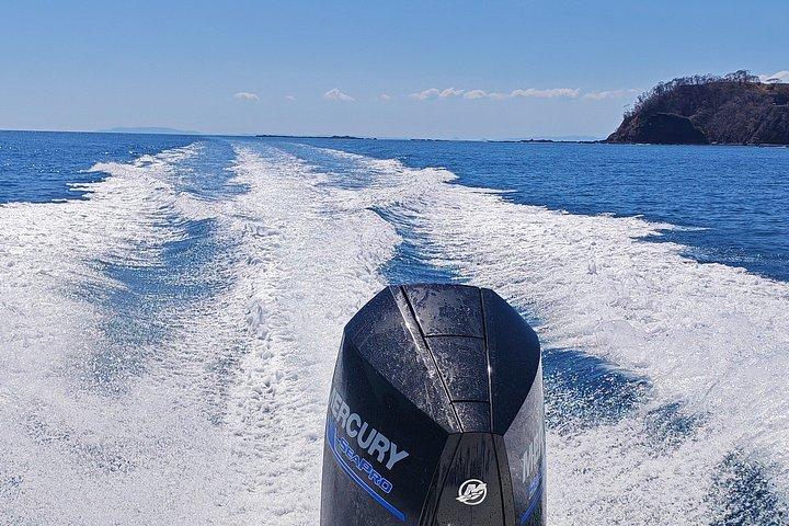 ジャコ発ートルガ島プライベートボートツアー（シュノーケリング、食事付き）