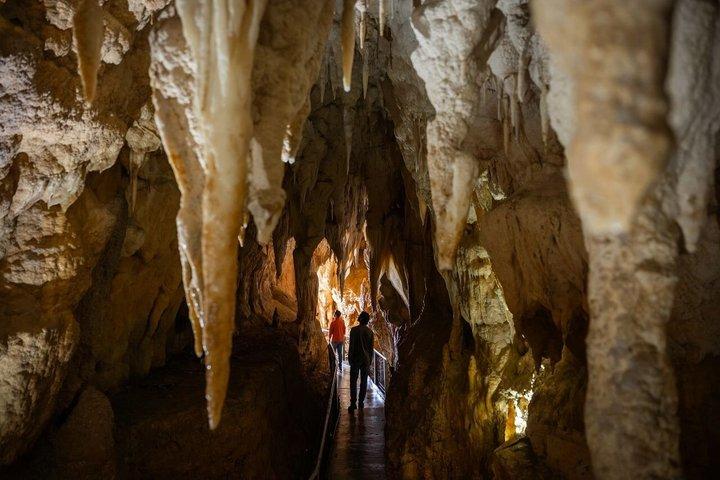 90 - Visite guidée minute de la grotte de Ruakuri Waitomo