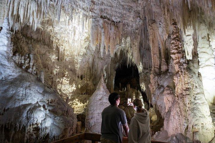 Tour guiado de 1 hora por la cueva Waitomo de Aranui