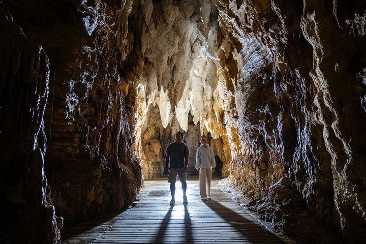 1-Hour Guided Tour of Aranui Cave Waitomo