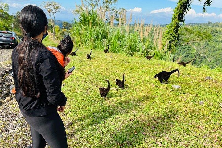 プレミアム ツアー ポアス火山ハシエンダ スターバックス コーヒーとラパスの滝