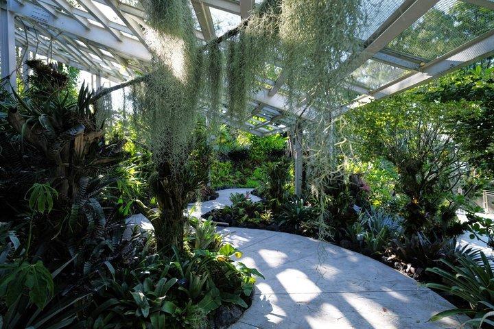 Singapur National Orchideengarten Eintrittskarte