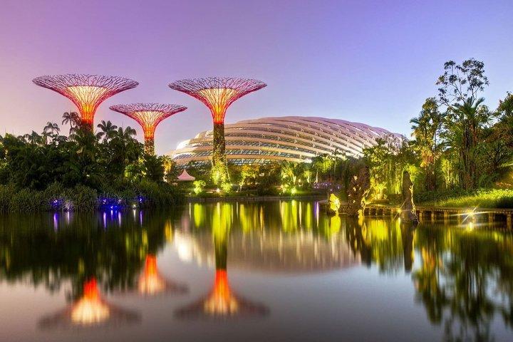 Singapur National Orchideengarten Eintrittskarte