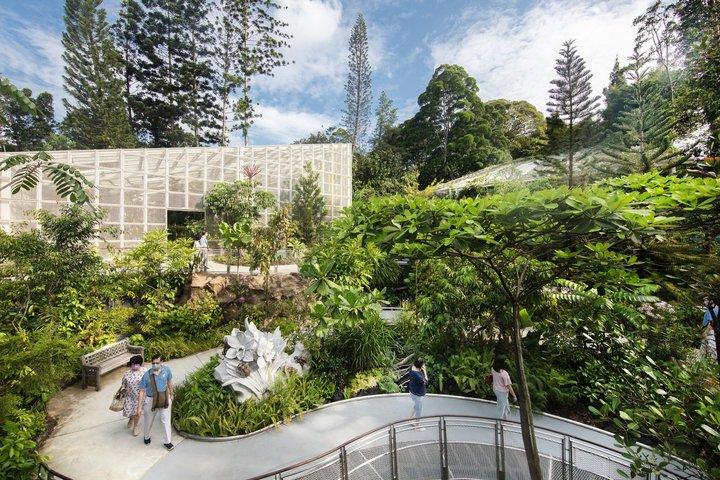 Singapur National Orchideengarten Eintrittskarte