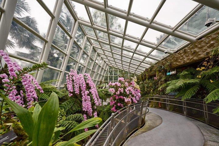 Indgang til Singapore National Orchid Garden