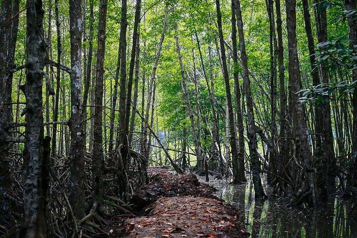 カンジオ州立生物圏保護区プライベートツアー