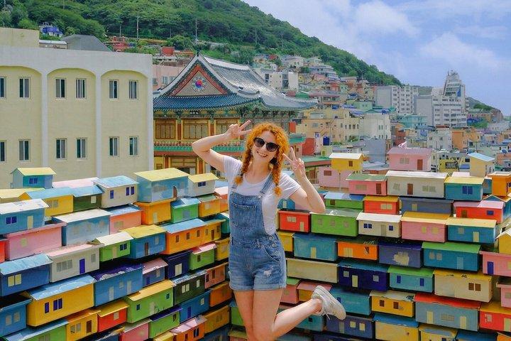 Busan 9 Highlights Small Group City Tour