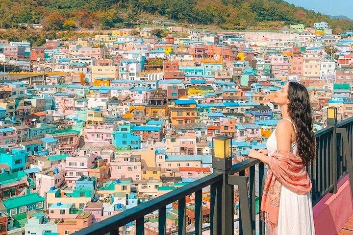 Busan 9 Highlights Small Group City Tour