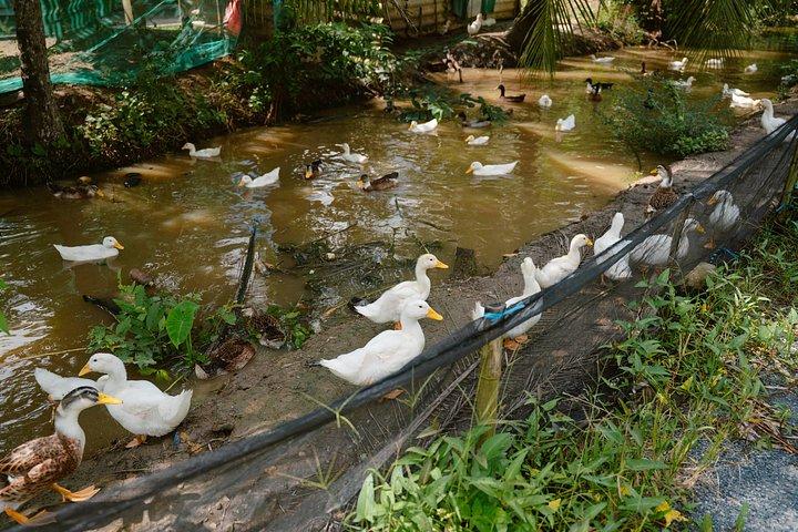 ローカルな方法でトラビンベンチェでメコンデルタ3日帰り旅行