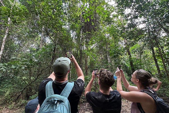 Khao Sok Jungle Trek and Bamboo Rafting Tour