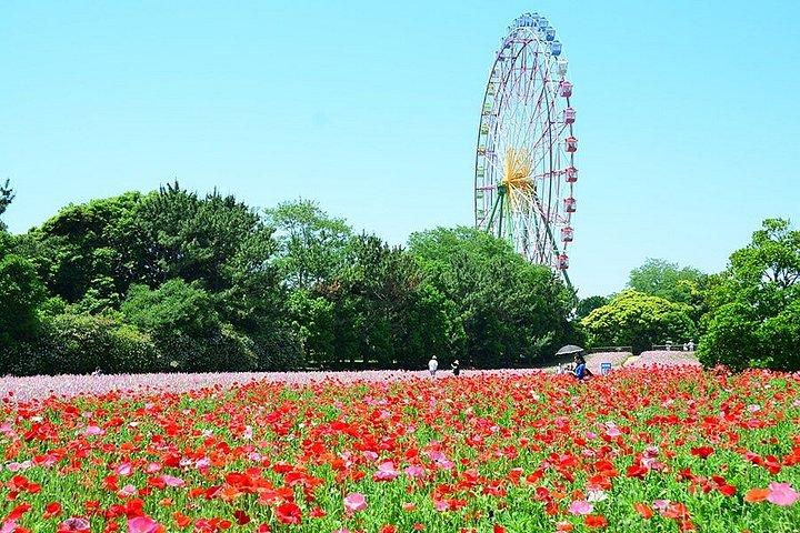 東京足利・ひたち海浜公園日帰りから
