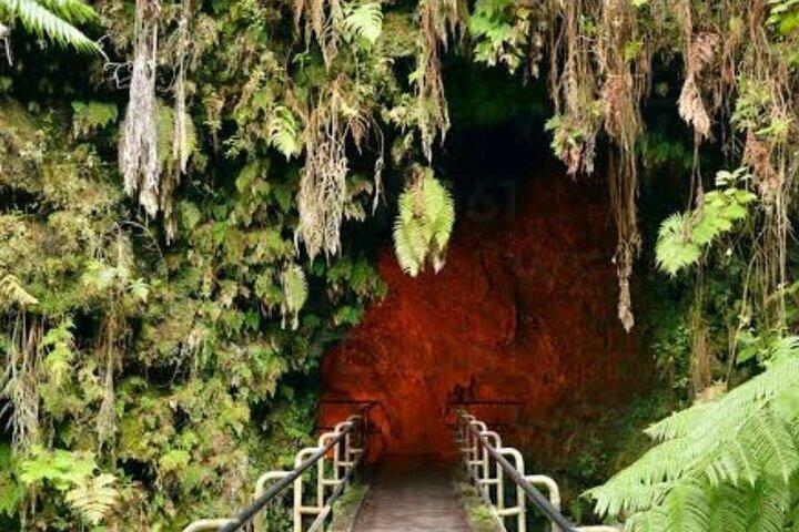 Escursione a terra a Hilo: visita al vulcano, alla cascata, alla spiaggia con pranzo