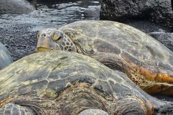 Escursione a terra a Hilo: visita al vulcano, alla cascata, alla spiaggia con pranzo