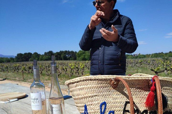 Rosé & Côtes de Provence Wine tour from Marseille