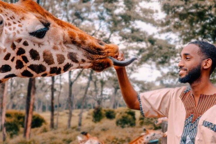 Parco di Nairobi, perline, giraffe e Fogo Gaucho Eating Experience
