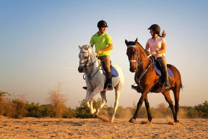 スース川沿いのアガディール乗馬
