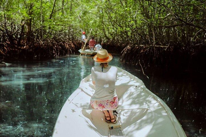 バリ島からレンボンガン島への終日アイランドクルーズ