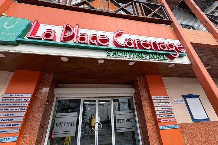 クレオール ランチ付きサルファー スプリングス マッド バスとトライユ滝ツアー