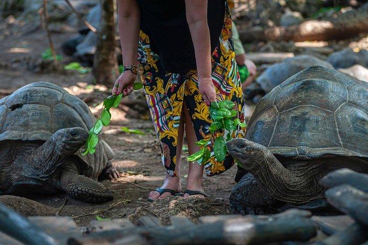 ストーンタウン監獄島とスパイスファーム（ランチ付き）ザンジバルツアー