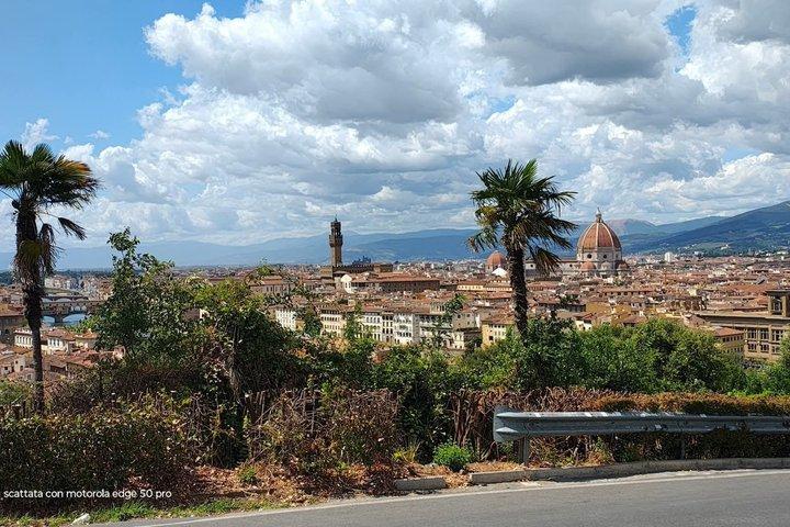 Golfkartour door Florence: Michelangelo en panoramische heuvels