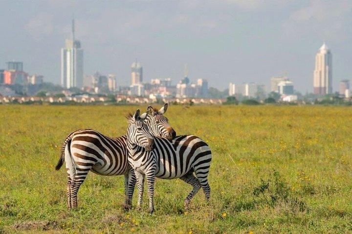 Parc national de Nairobi demi-journée de route avec Guide