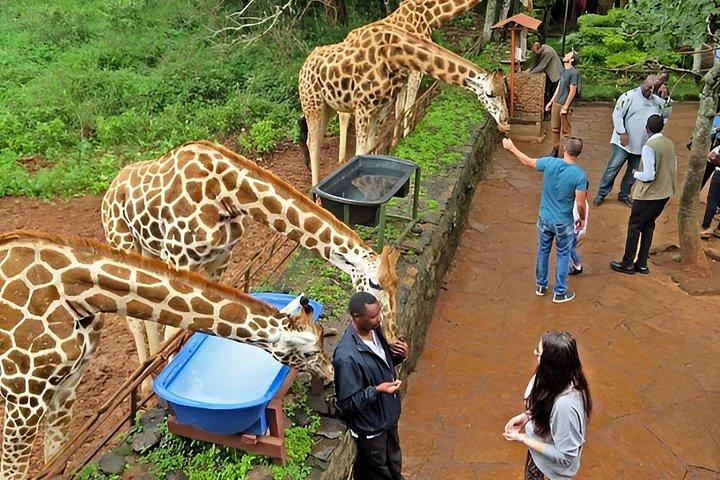 ナイロビ公園、ビーズ、キリン、フォゴガウチョ食べ歩き体験