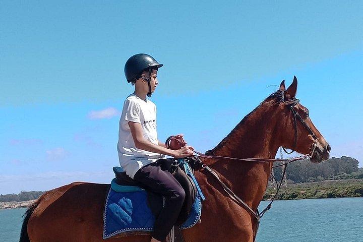 スース川沿いのアガディール乗馬