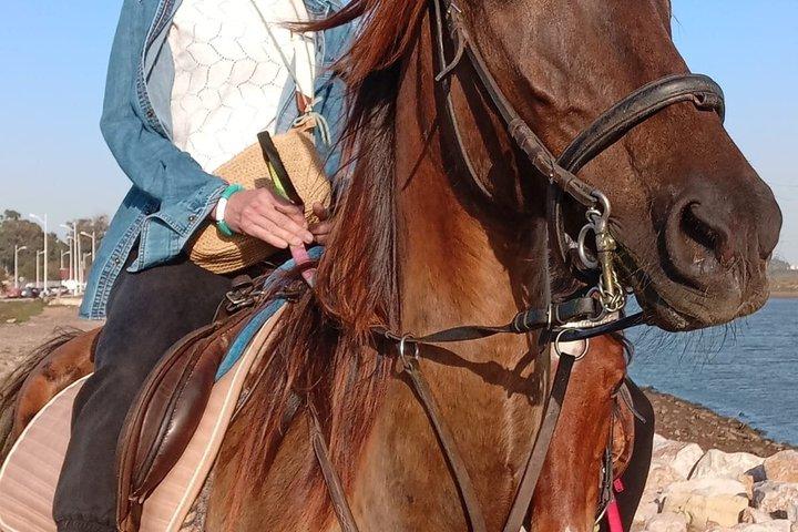 スース川沿いのアガディール乗馬
