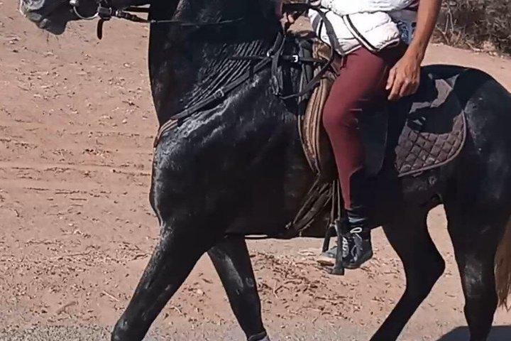 スース川沿いのアガディール乗馬