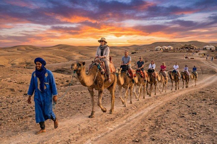 Marrakech : All-in-ONE Agafay CAMEL , DINNER, SHOW & TRANSPORT.