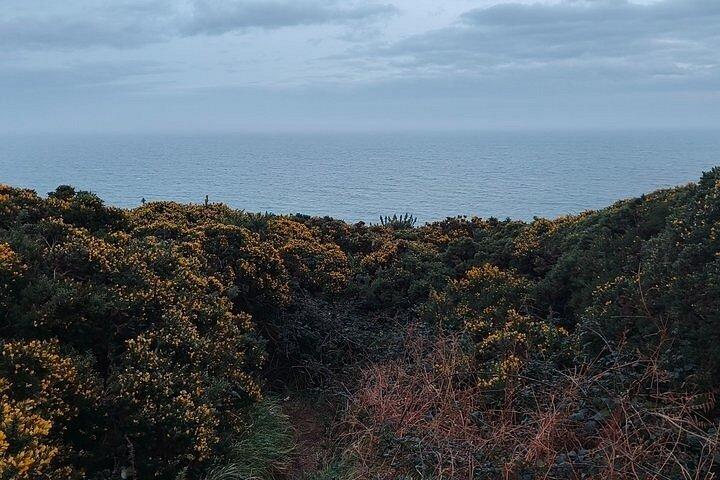 Day Trip to Howth Peninsula